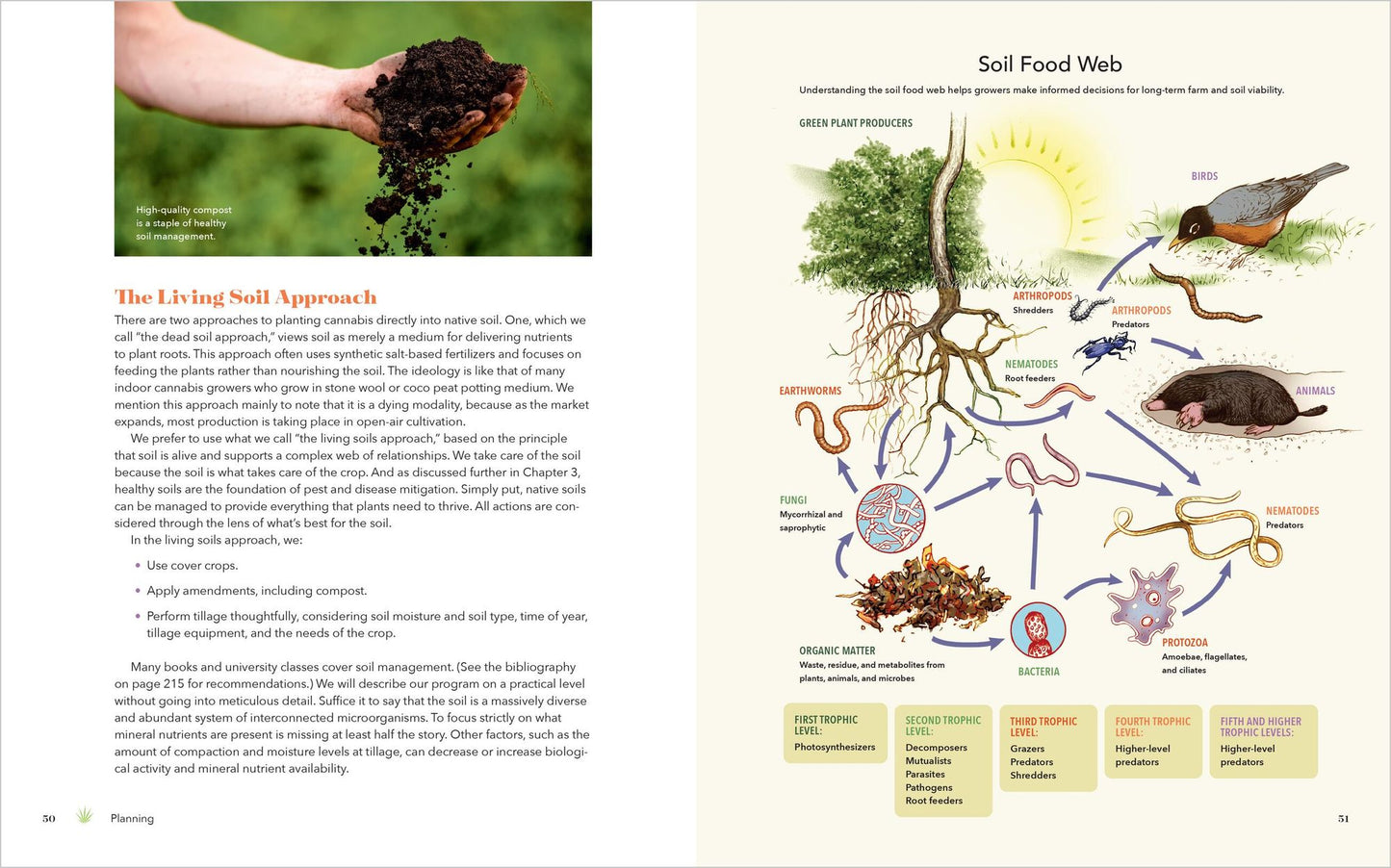 Cannabis Farming: How to Grow, Harvest, and Process Organic, Field-Grown Cannabis