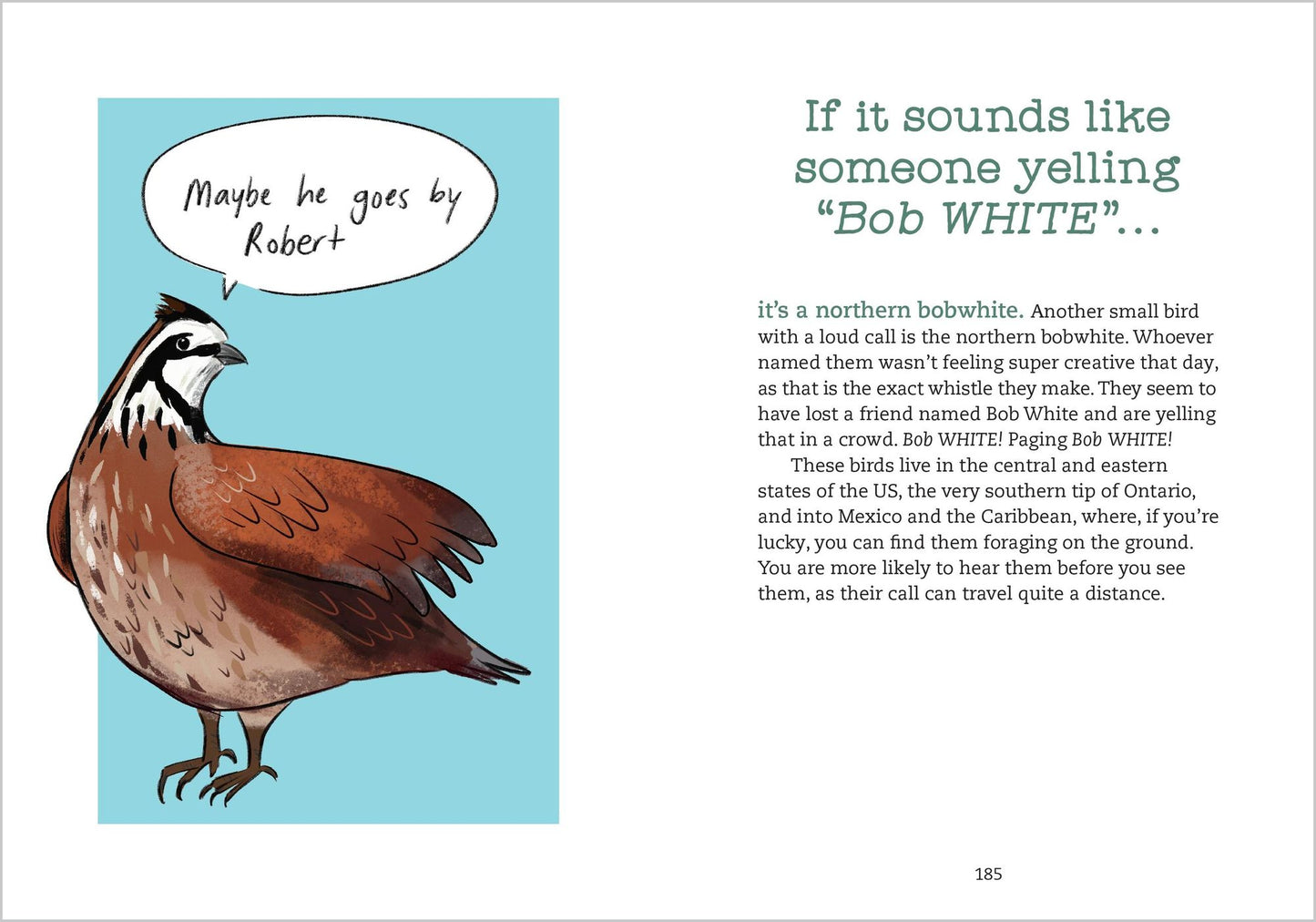 Bird Talk: Hilariously Accurate Ways to Identify Birds by the Sounds They Make
