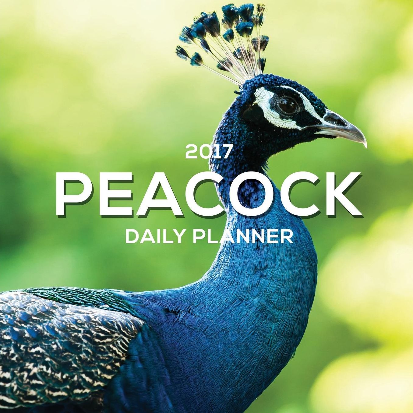 2017 Peacock Daily Planner