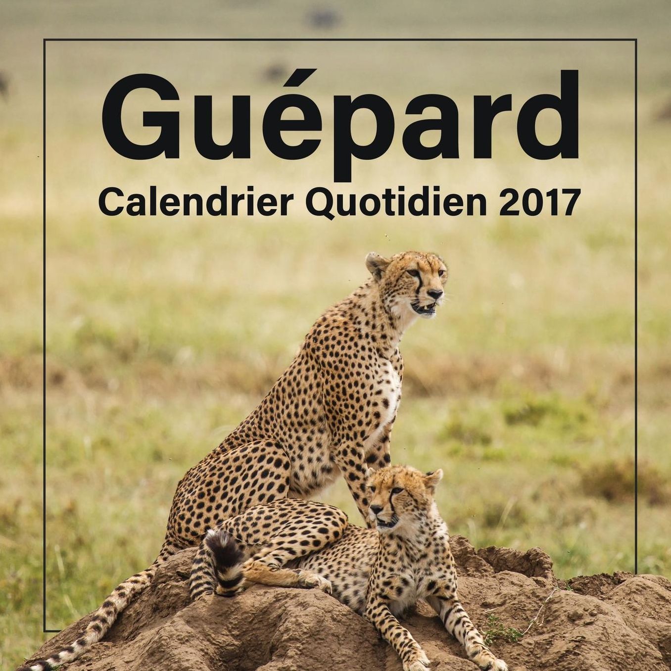 GuÈpard: Calendrier Quotidien 2017