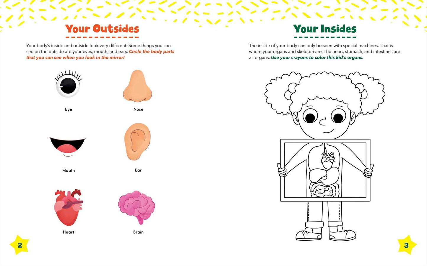Human Body Preschool Activity Book: Hands-On Learning with Mazes, Coloring, and More!