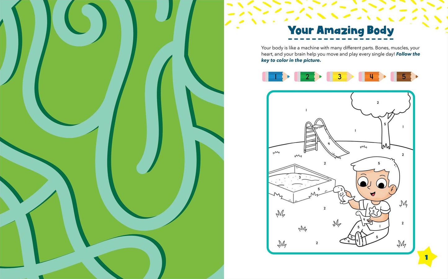 Human Body Preschool Activity Book: Hands-On Learning with Mazes, Coloring, and More!