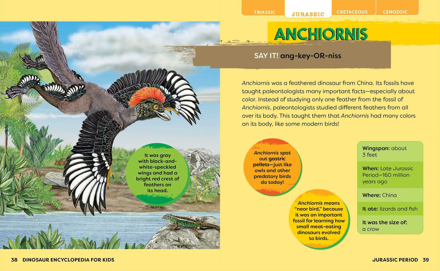 Dinosaur Encyclopedia for Kids: The Big Book of Prehistoric Creatures