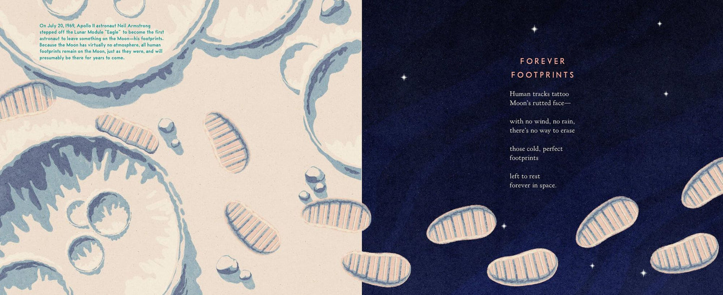 The Museum on the Moon: The Curious Objects on the Lunar Surface