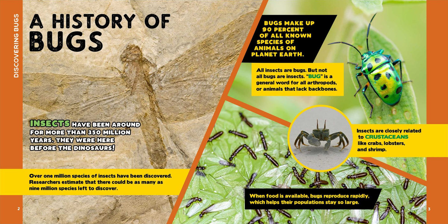 The Fascinating Bug Book for Kids: 500 Startling Facts!