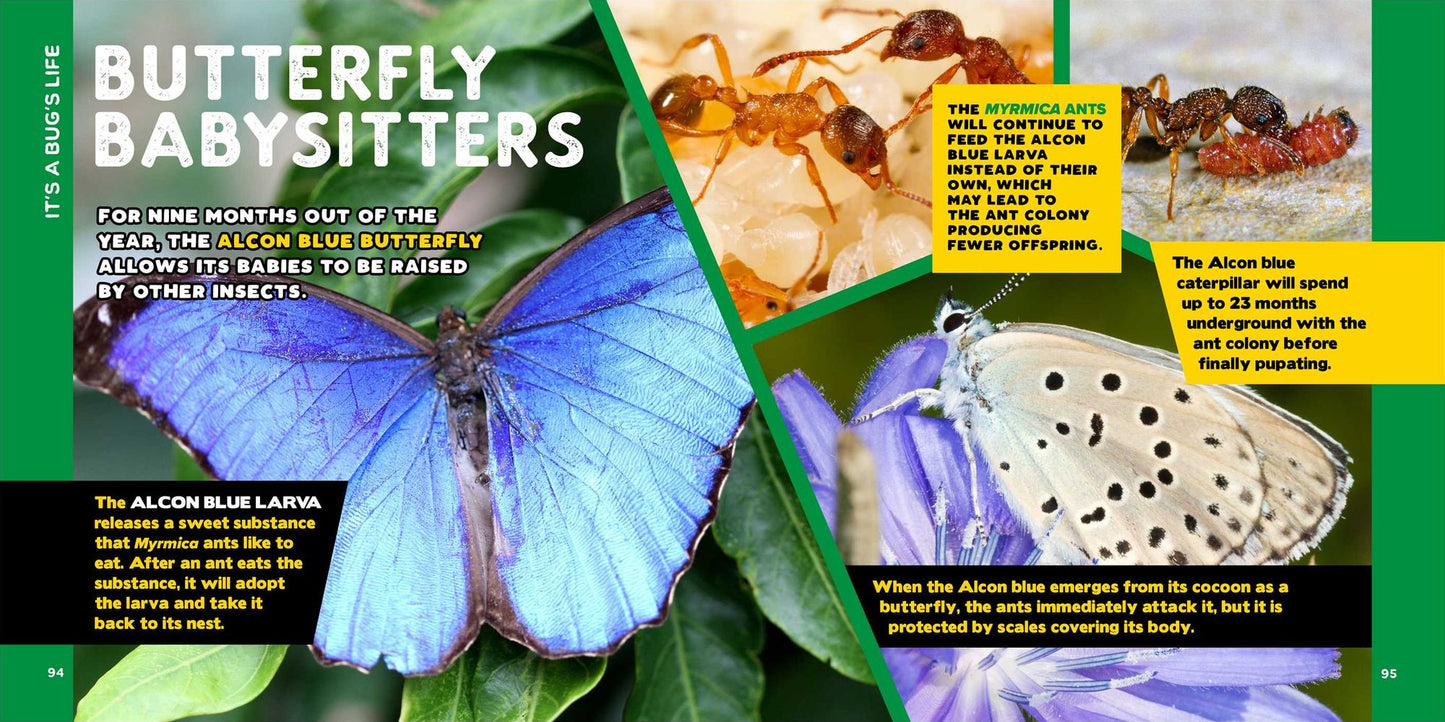 The Fascinating Bug Book for Kids: 500 Startling Facts!