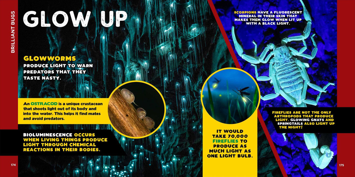 The Fascinating Bug Book for Kids: 500 Startling Facts!