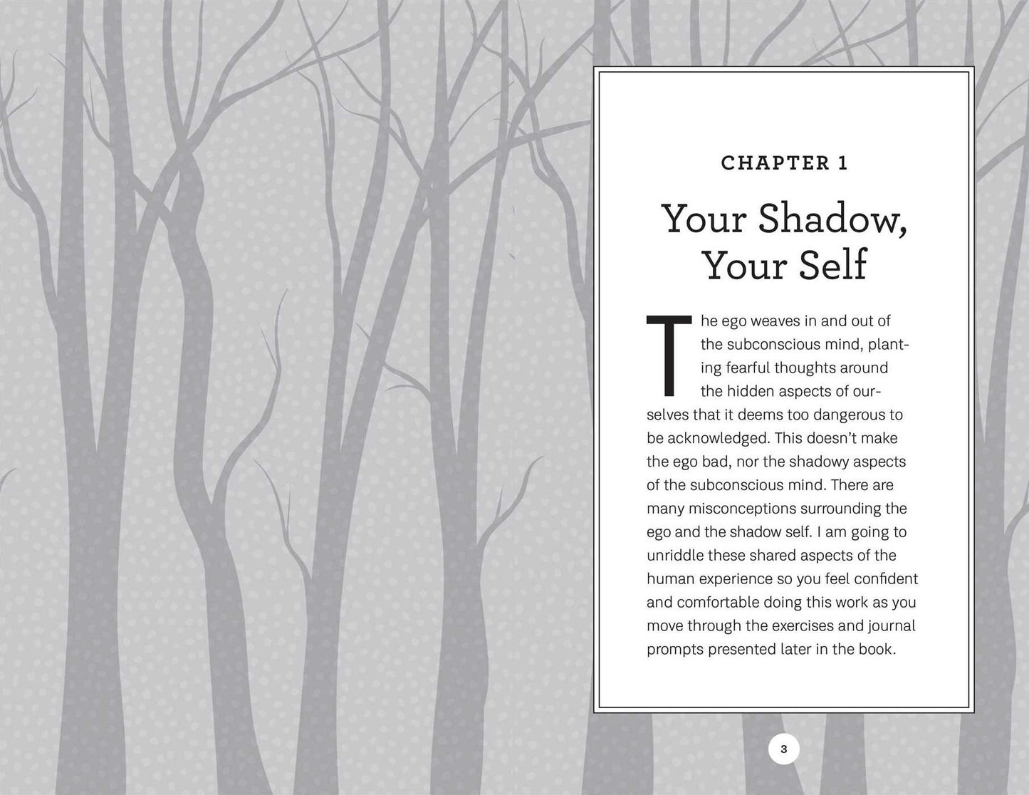 Shadow Work Journal and Guide for Beginners: An Introduction to Discovering and Healing Your Unconscious Self