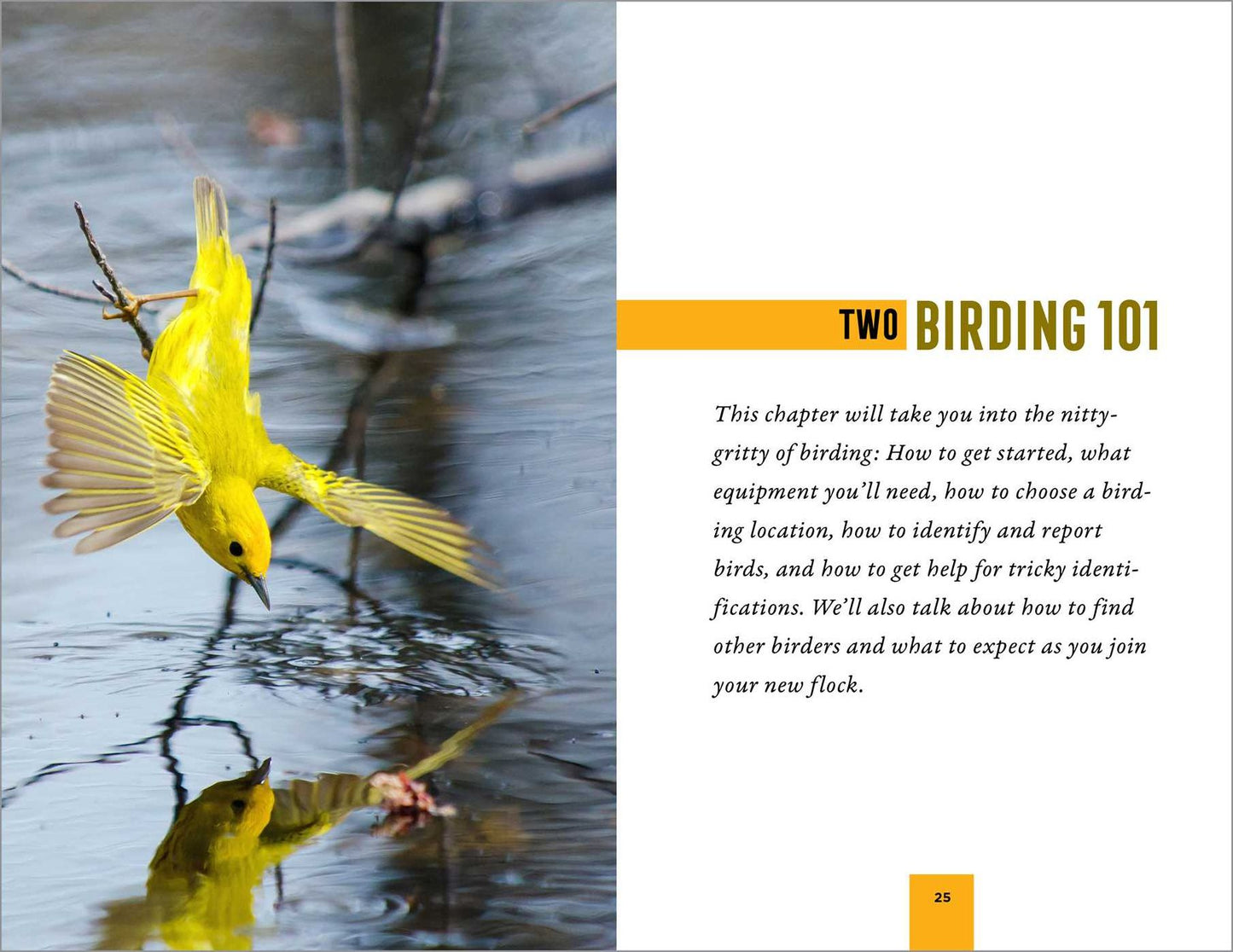 North American Bird Watching for Beginners: Field Notes on 150 Species to Start Your Birding Adventures