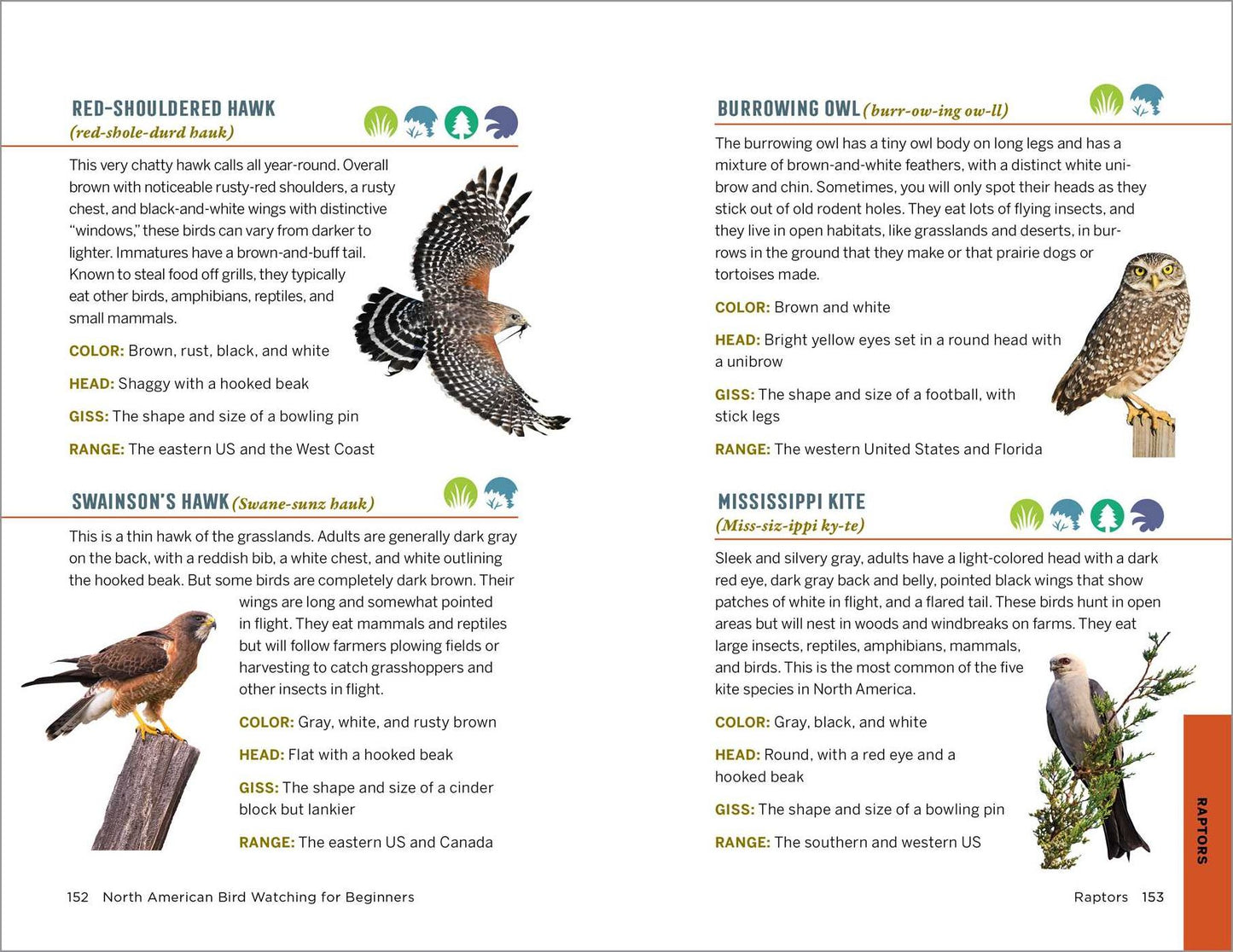 North American Bird Watching for Beginners: Field Notes on 150 Species to Start Your Birding Adventures