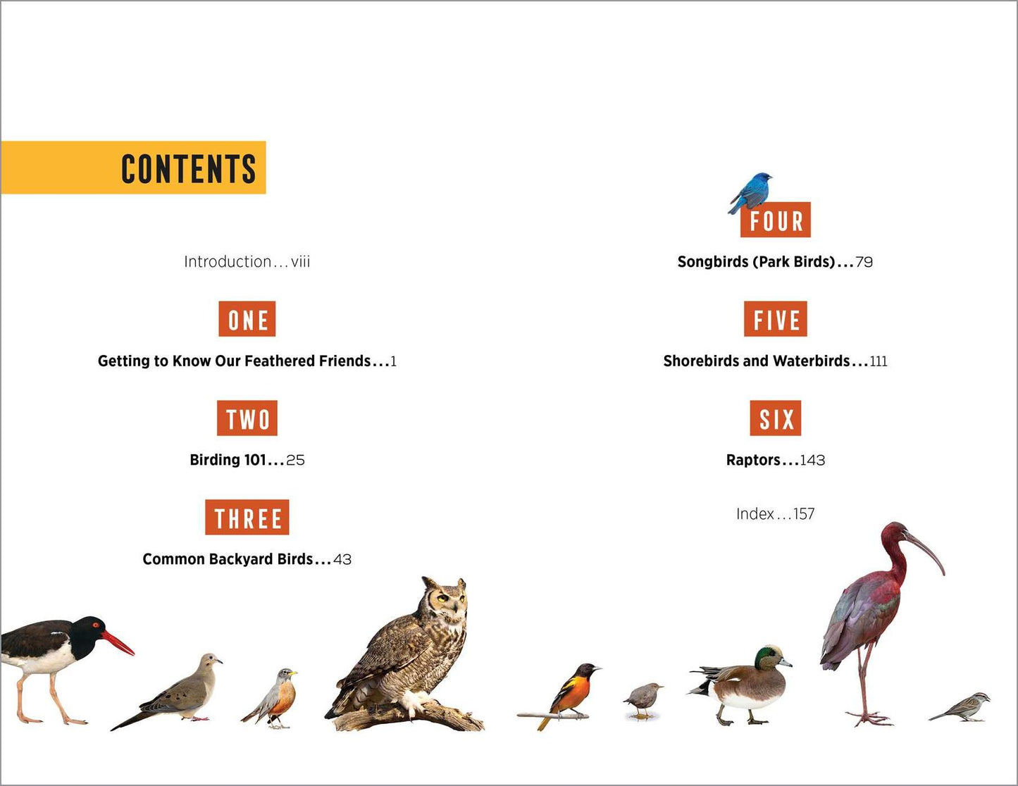 North American Bird Watching for Beginners: Field Notes on 150 Species to Start Your Birding Adventures