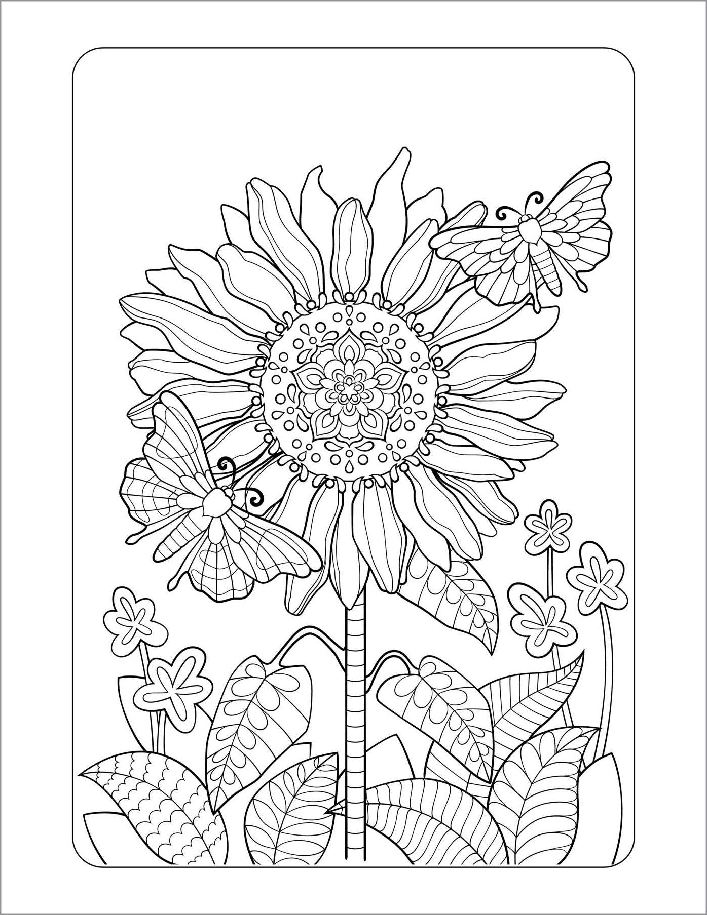 Anxiety Relief Coloring Book for Adults: Mindfulness Coloring to Soothe Anxiety
