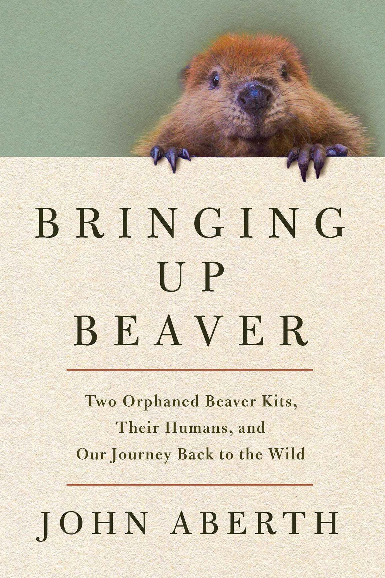 Bringing Up Beaver: Two Orphaned Beaver Kits, Their Humans, and Our Journey Back to the Wild.