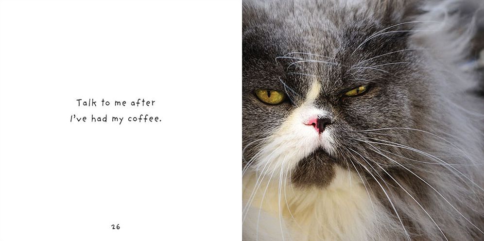 You Had Me At Meow
