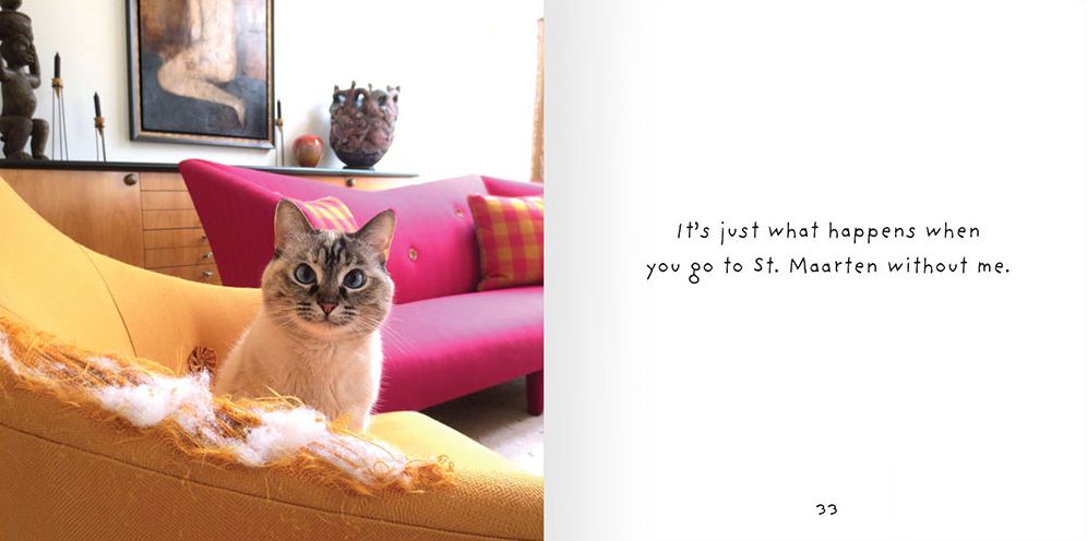 You Had Me At Meow