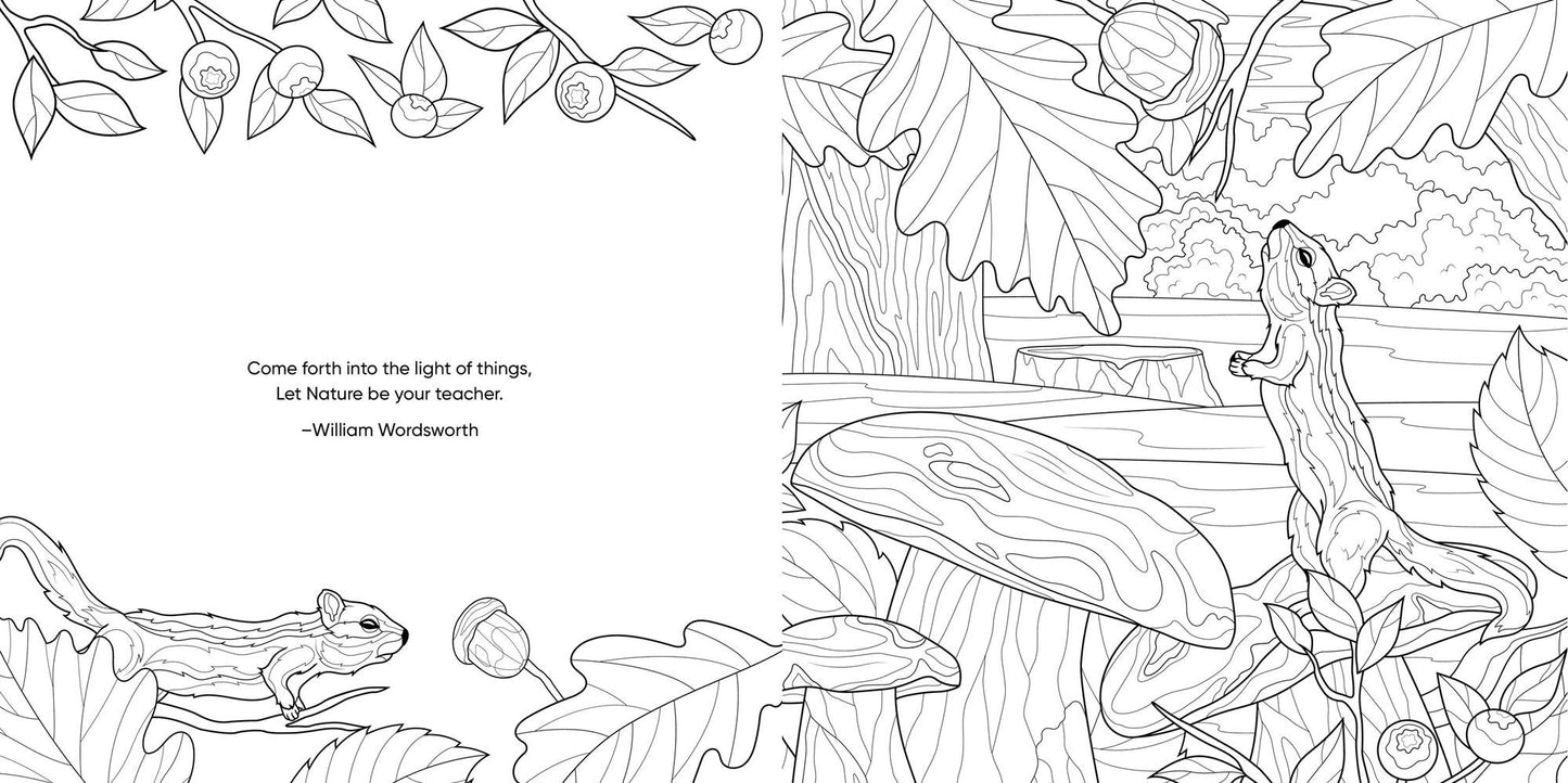 Keepsake Coloring Color Me Humming Bird