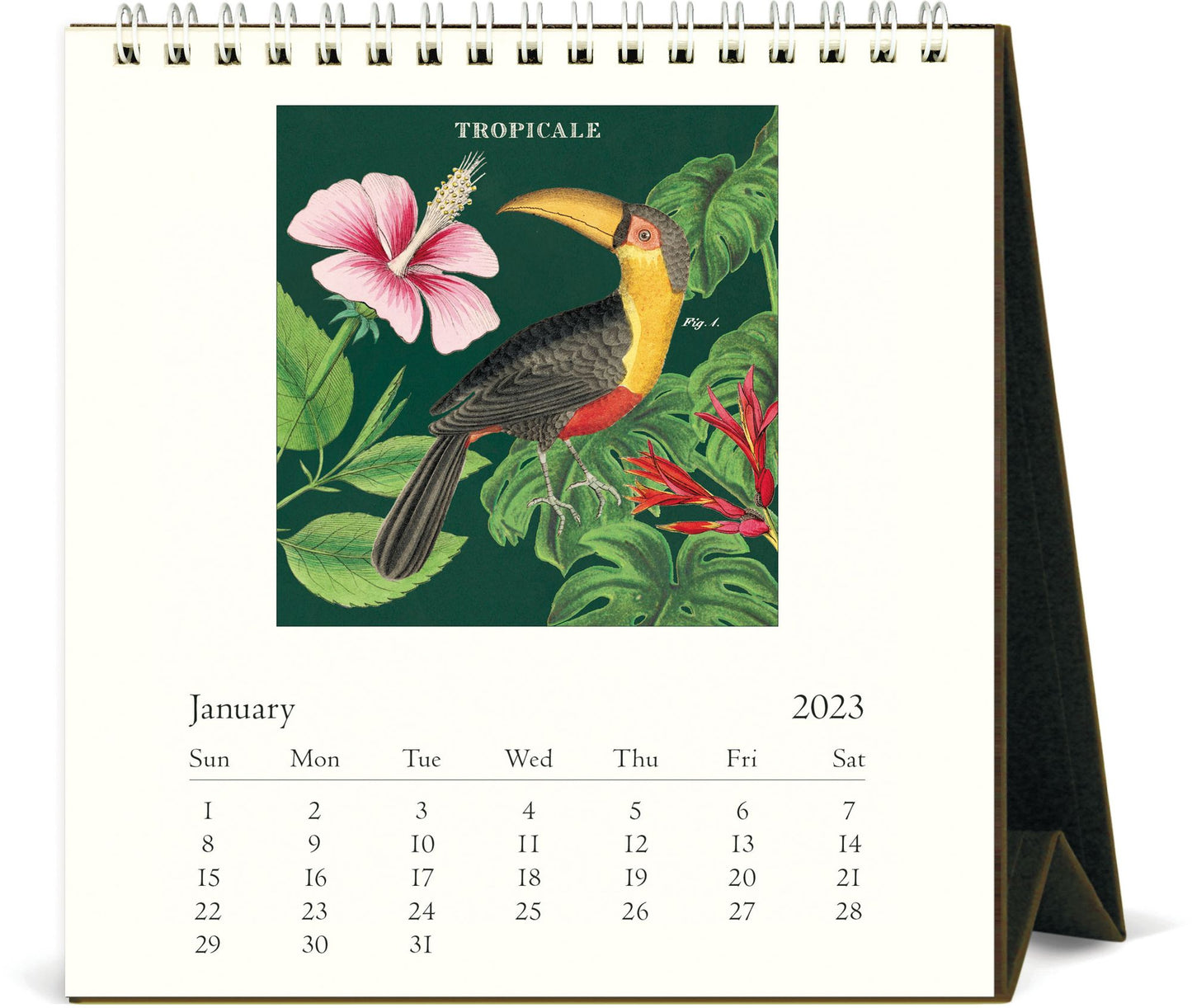 2023 Cavallini & Co. Tropicale Desk Calendar