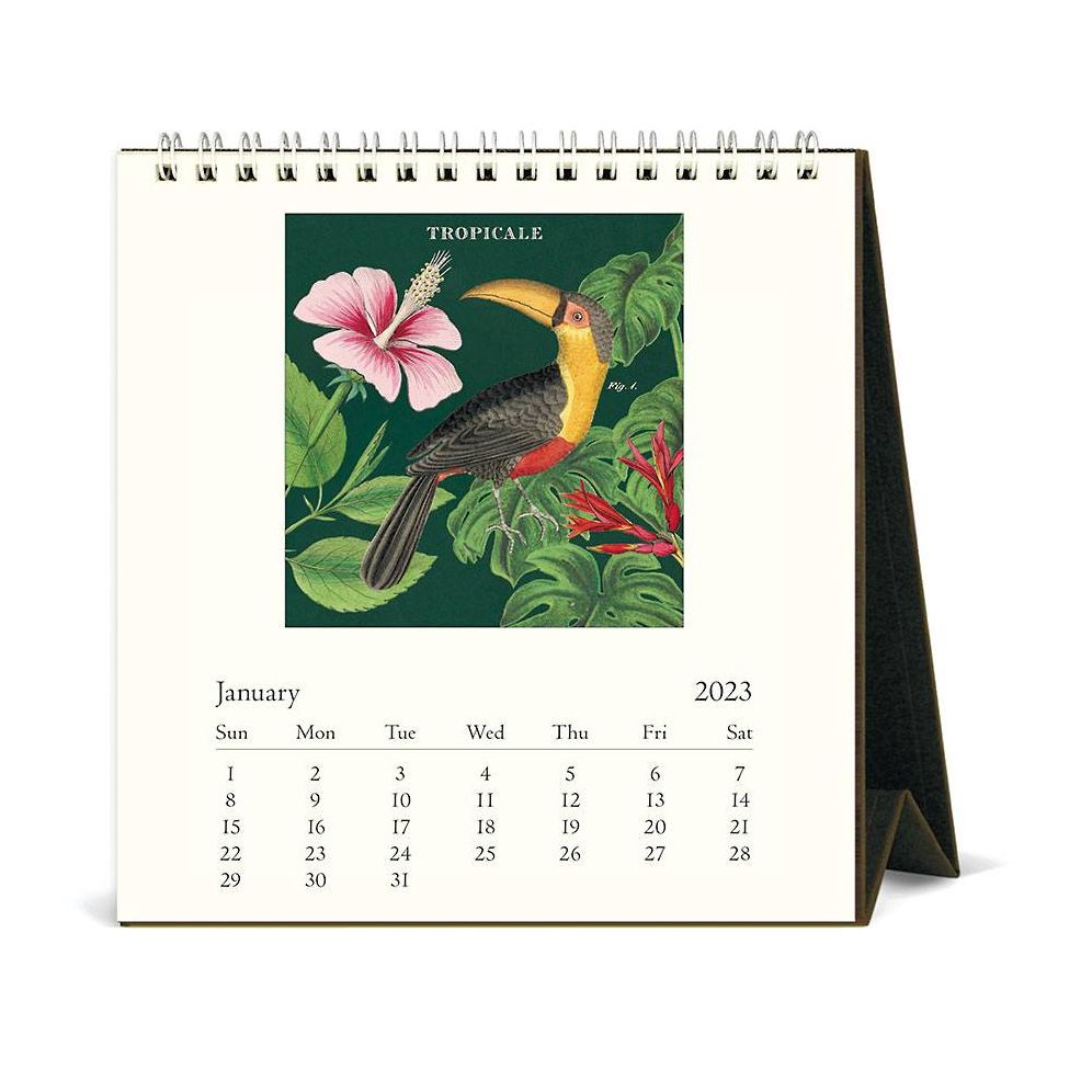 2023 Cavallini & Co. Tropicale Desk Calendar