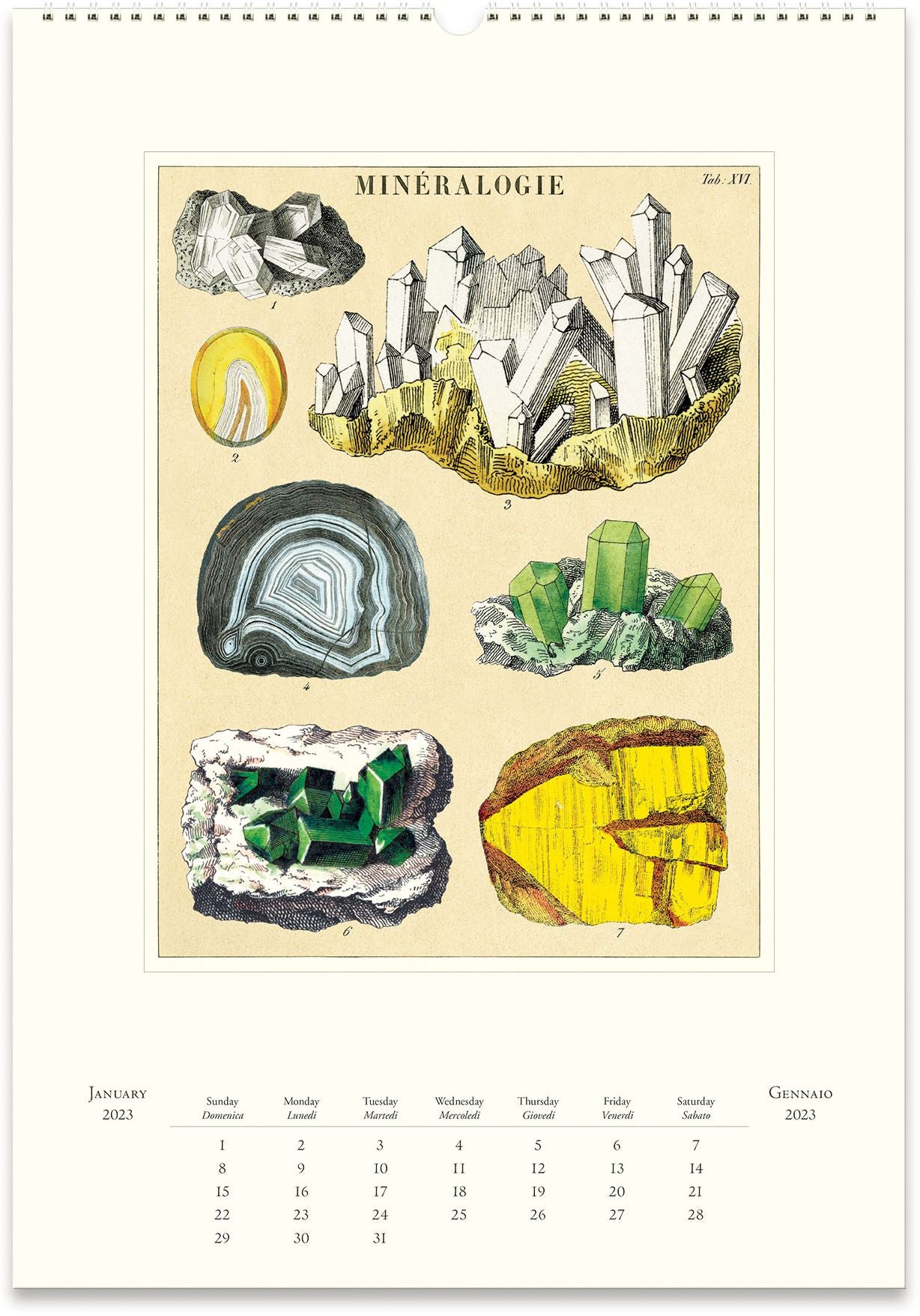2023 Cavallini & Co. Mineralogie Wall Calendar