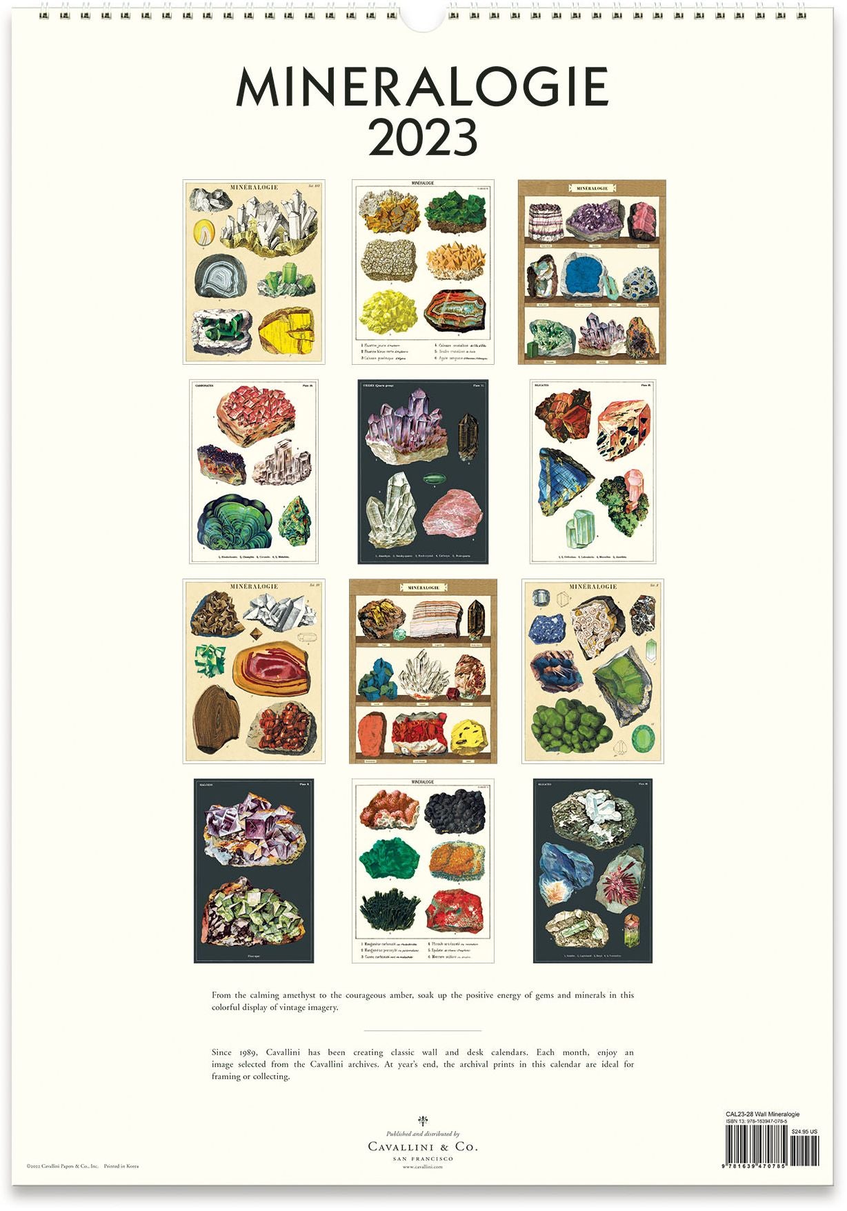 2023 Cavallini & Co. Mineralogie Wall Calendar