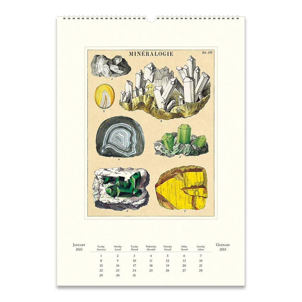 2023 Cavallini & Co. Mineralogie Wall Calendar