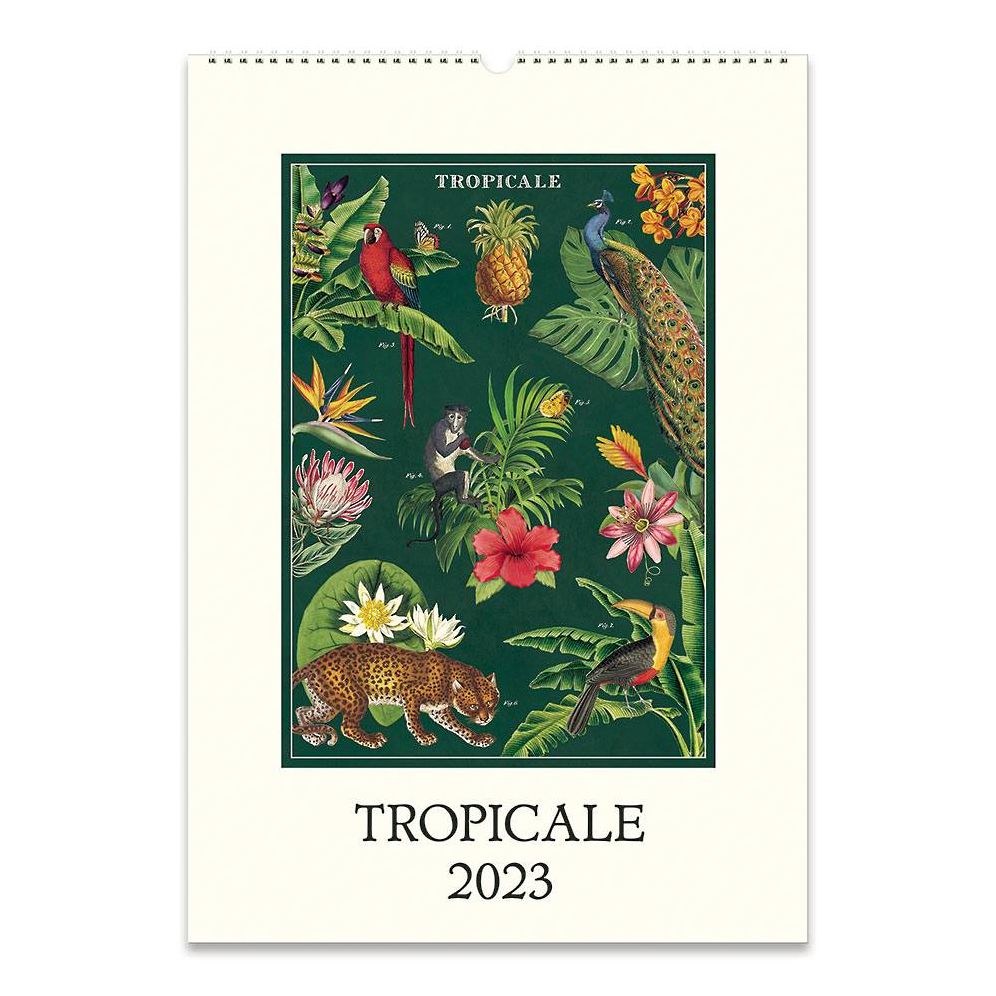 2023 Cavallini & Co. Tropicale Wall Calendar