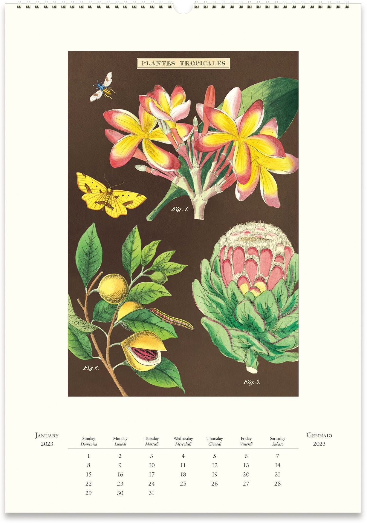 2023 Cavallini & Co. Tropicale Wall Calendar