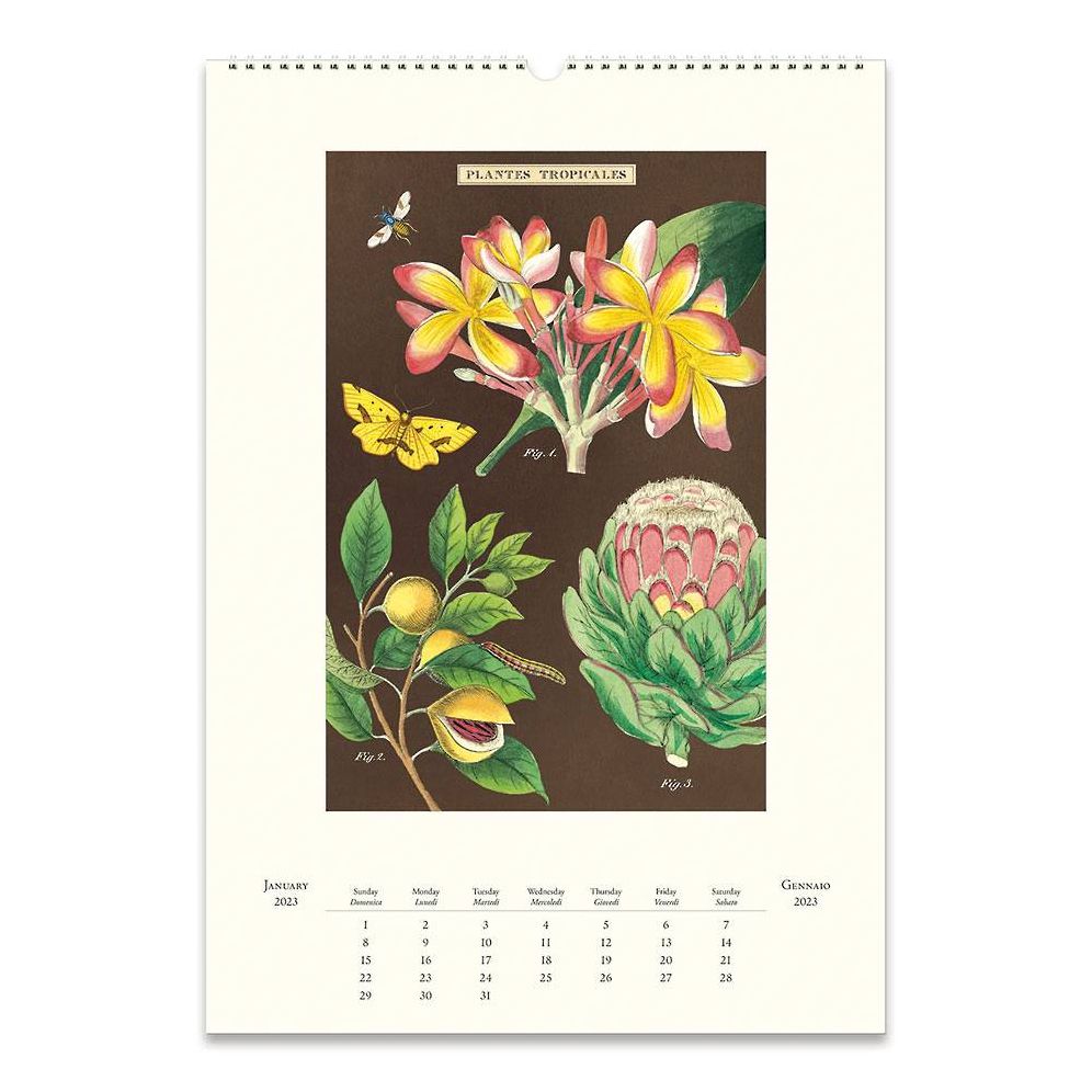 2023 Cavallini & Co. Tropicale Wall Calendar