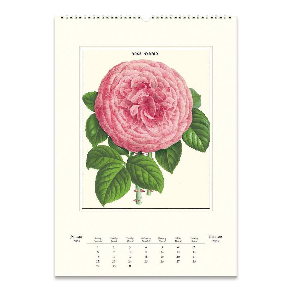 2023 Cavallini & Co. Botanica Wall Calendar