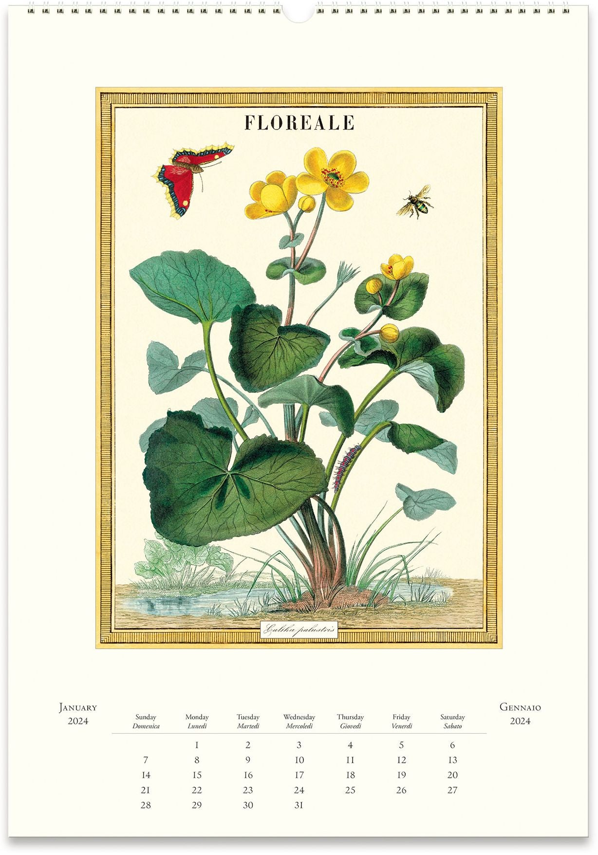 2024 Cavallini & Co. Floreale Wall Calendar