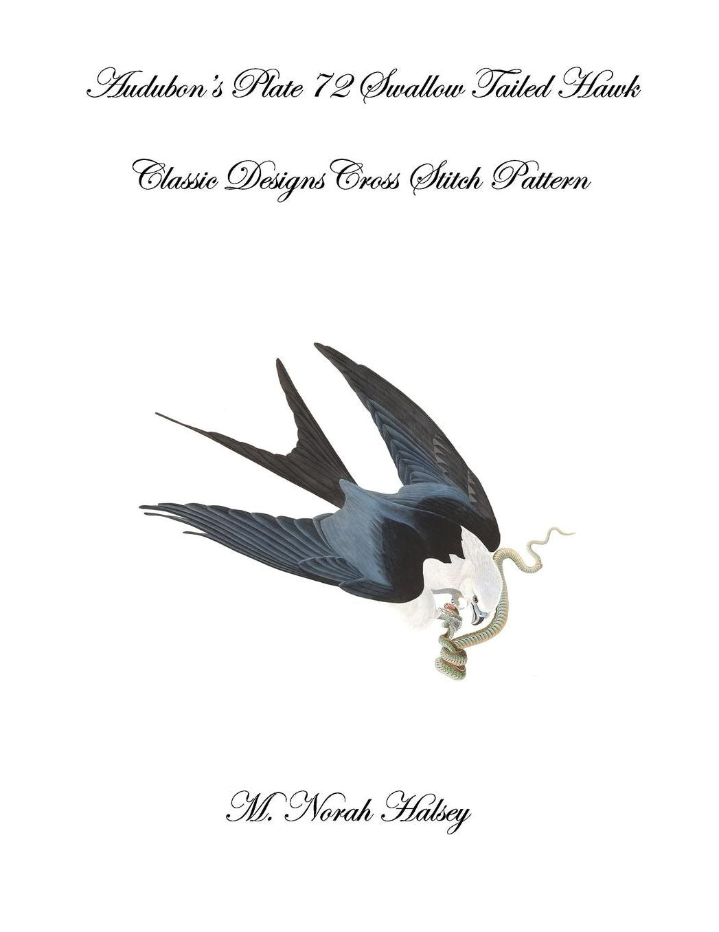 Audubon's Plate 72 Swallow Tailed Hawk: Class Designs Cross Stitch Pattern