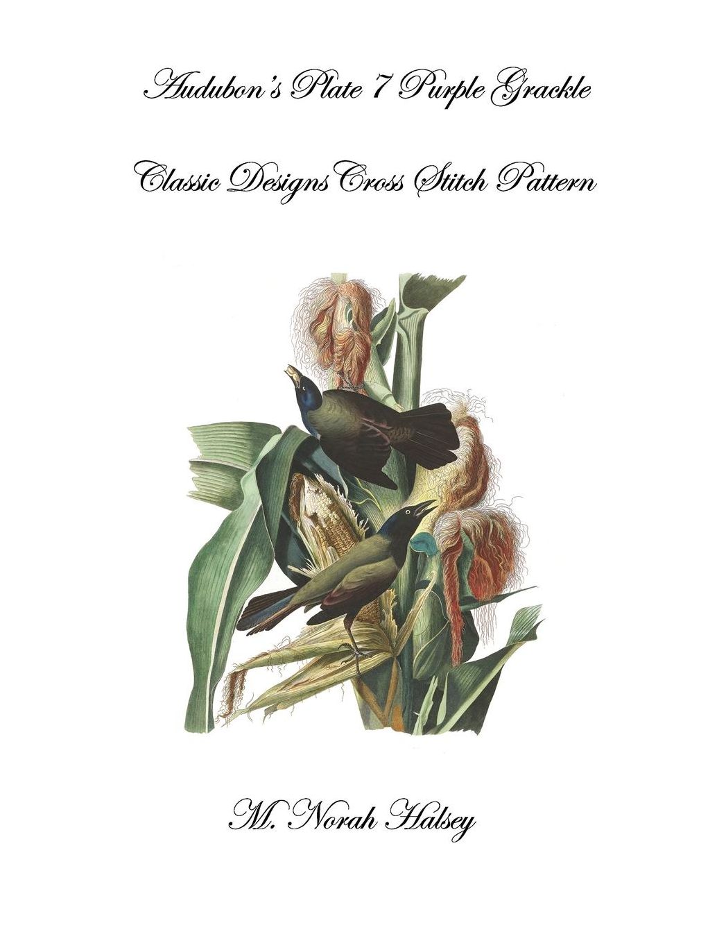 Audubon's Plate 7 Purple Grackle: Classic Designs Cross Stitch Pattern