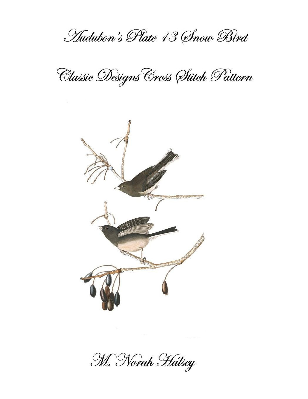 Audubon's Plate 13 Snow Bird: Classic Designs Cross Stitch Pattern