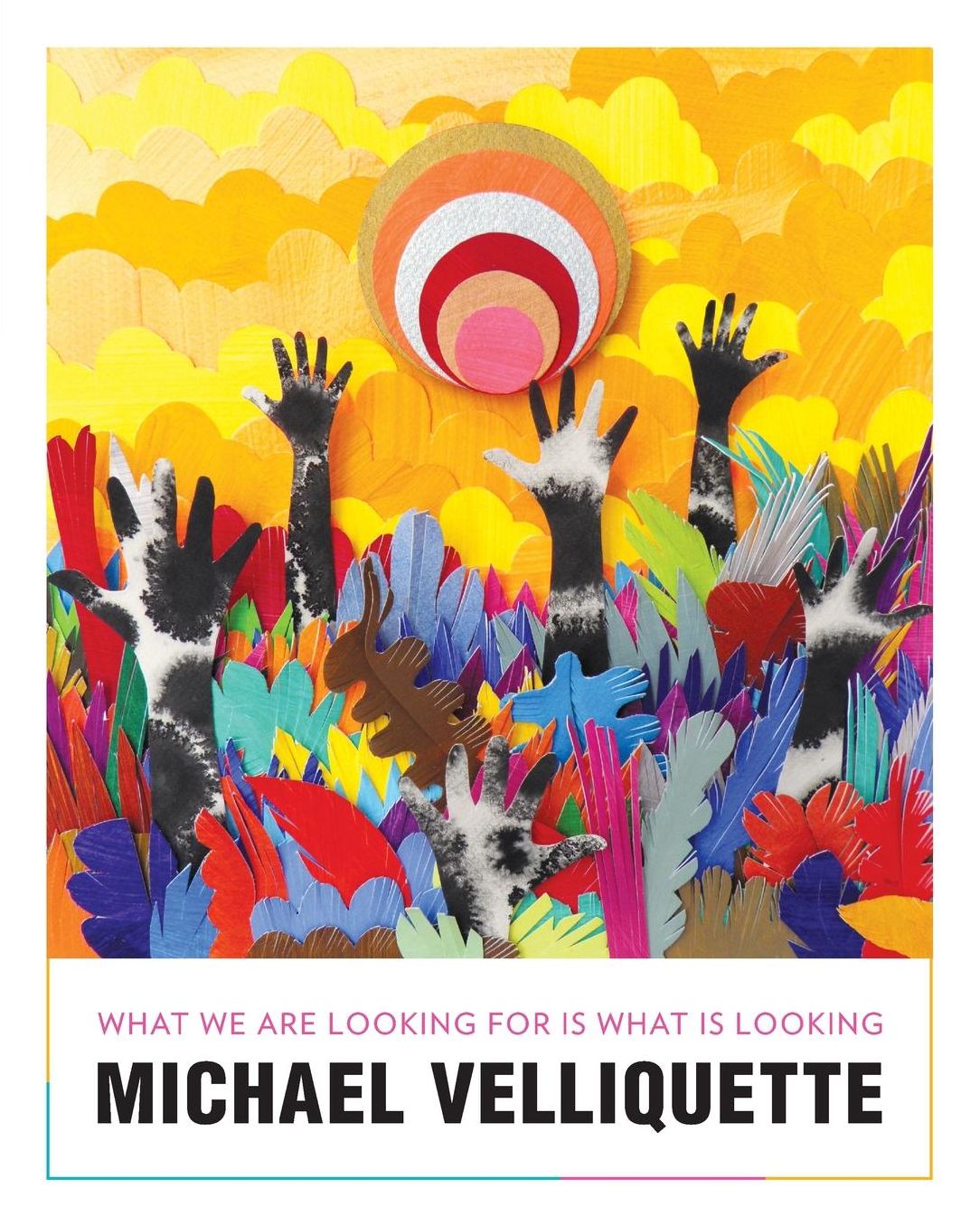 Michael Velliquette: What We Are Looking For is What is Looking