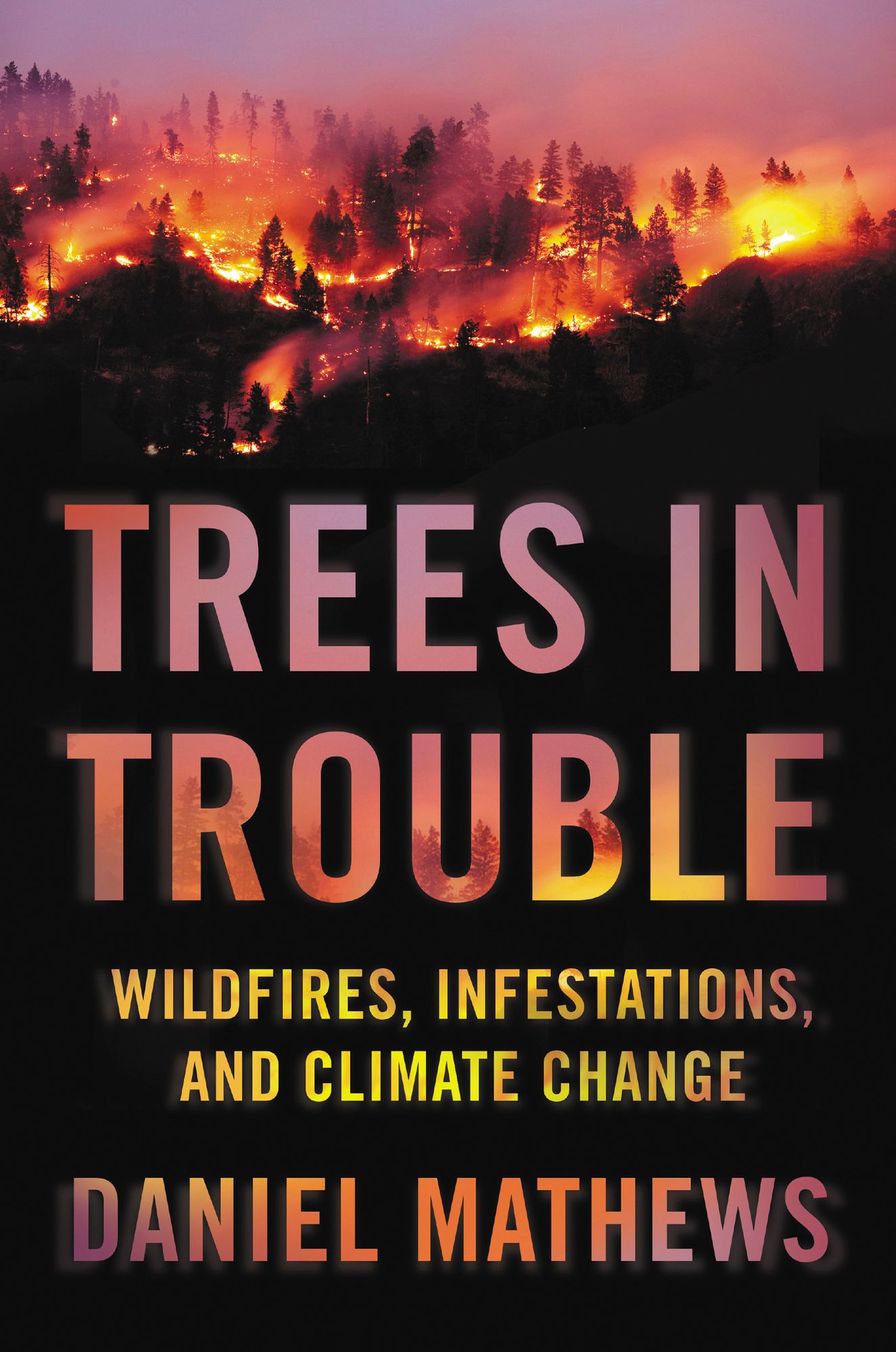 Trees in Trouble : Wildfires, Infestations, and Climate Change Hit the West