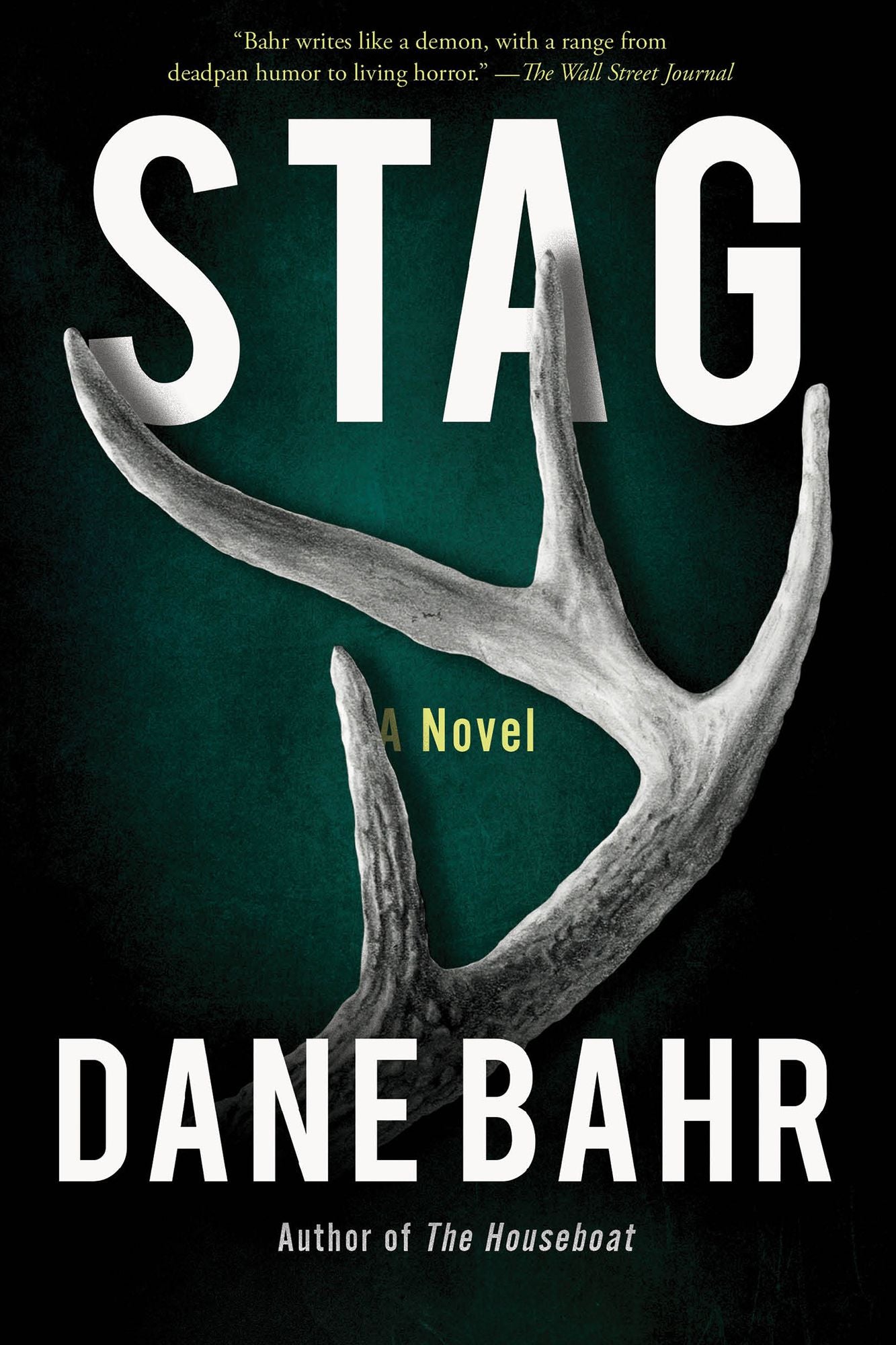 Stag: A Novel
