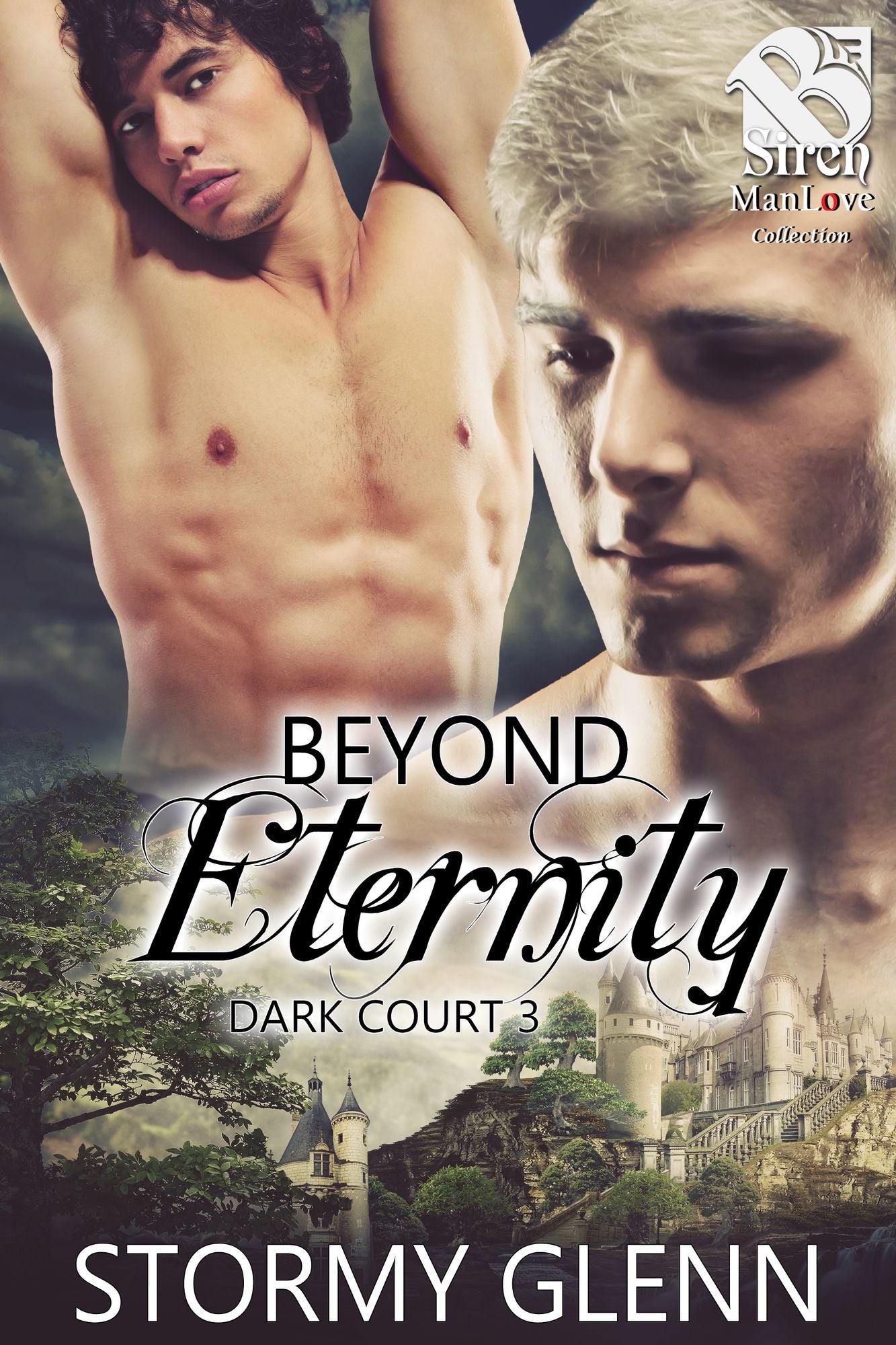 Beyond Eternity [Dark Court 3] (Siren Publishing The Stormy Glenn ManLove Collection)