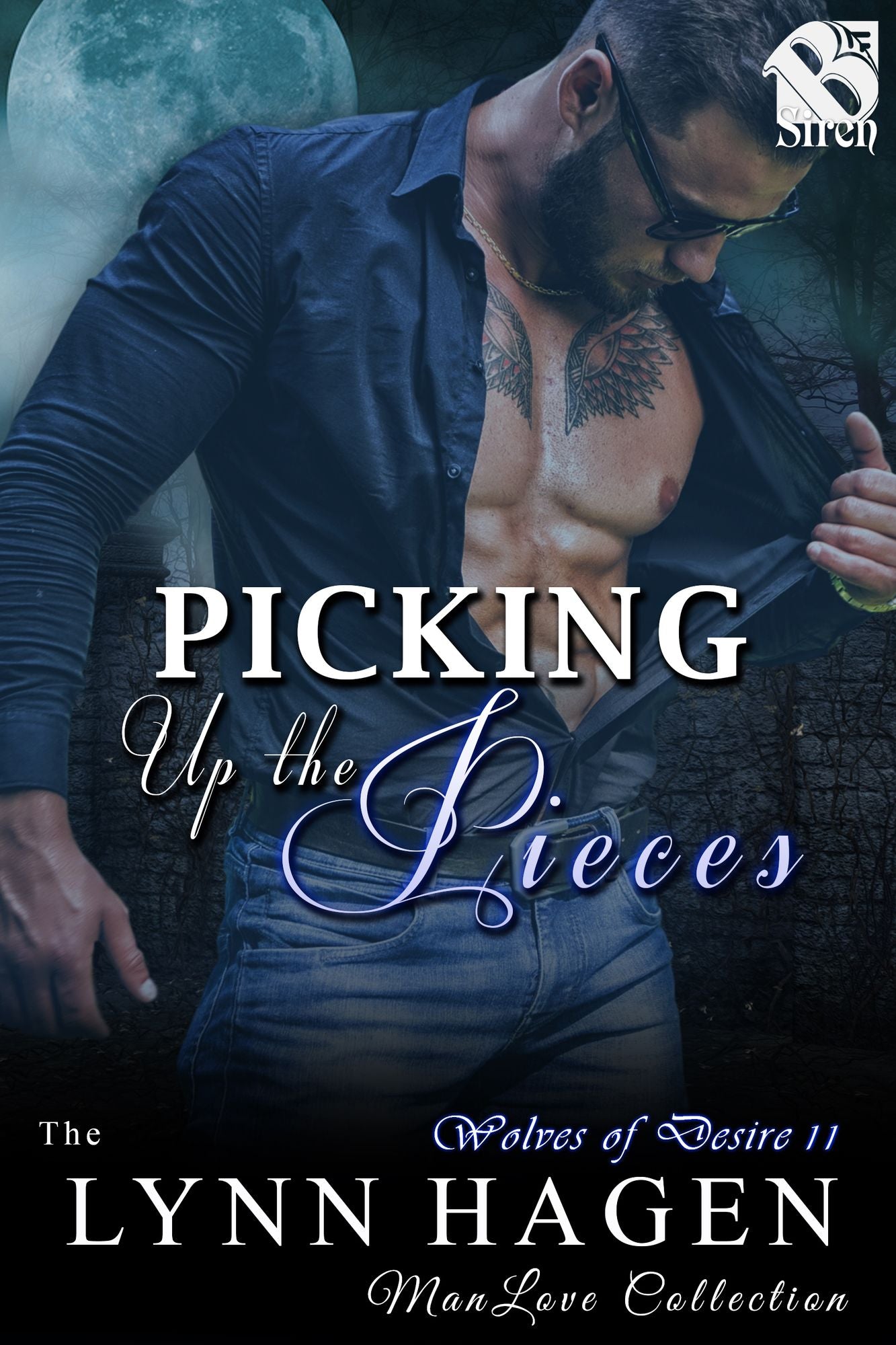 Picking Up the Pieces [Wolves of Desire 11] (Siren Publishing The Lynn Hagen ManLove Collection)