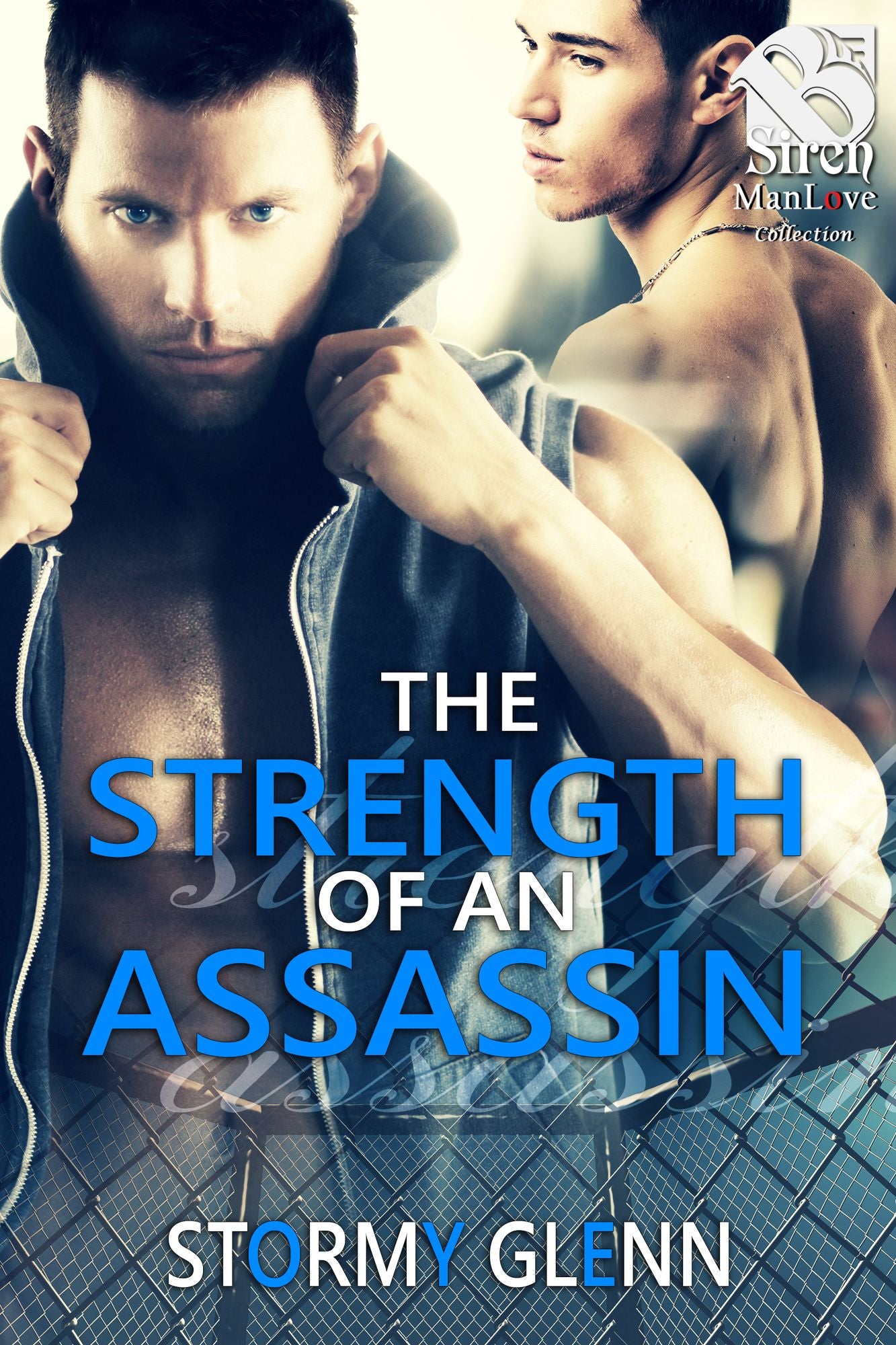 Strength of an Assassin [Assassins Inc. 3] (Siren Publishing The Stormy Glenn ManLove Collection)