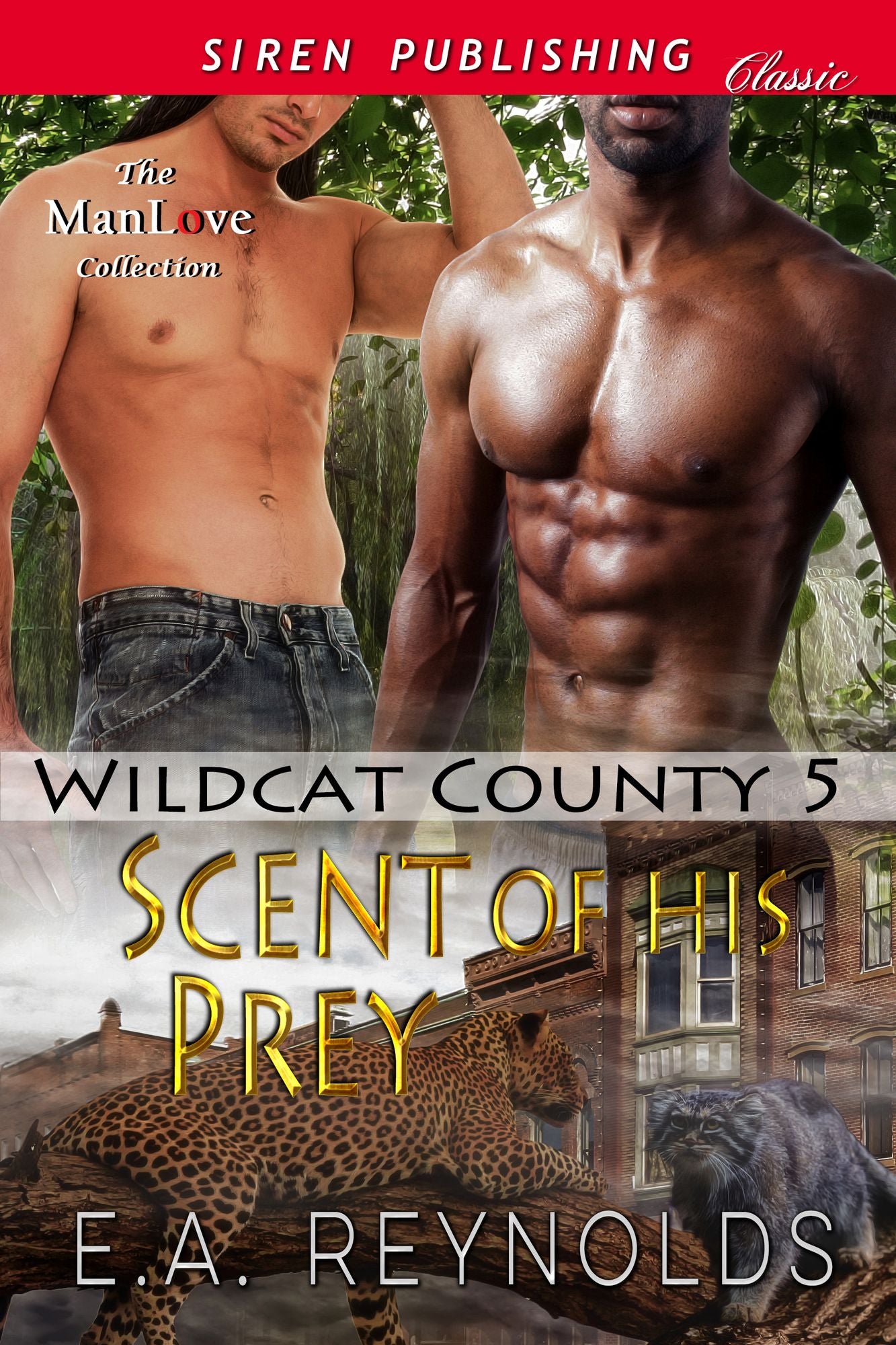 Scent of His Prey [Wildcat County 5] (Siren Publishing Classic ManLove)