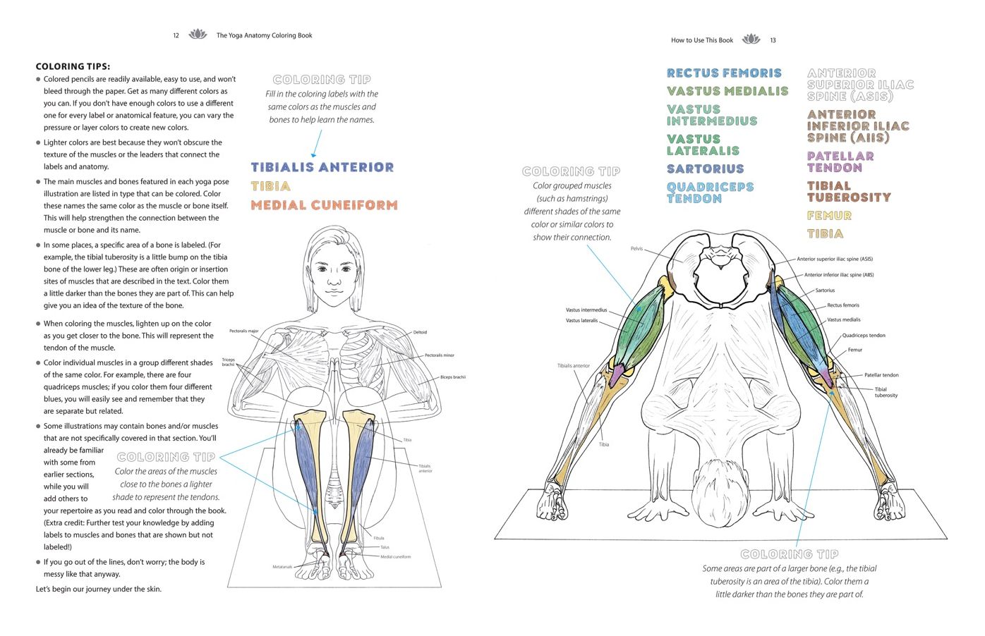 The Yoga Anatomy Coloring Book: A Visual Guide to Form, Function, and Movement