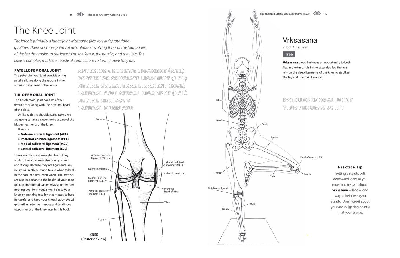 The Yoga Anatomy Coloring Book: A Visual Guide to Form, Function, and Movement