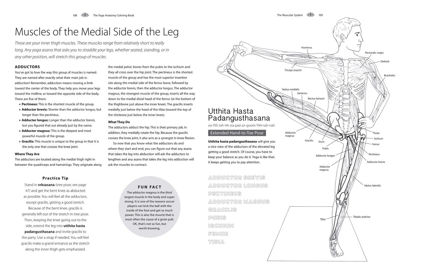 The Yoga Anatomy Coloring Book: A Visual Guide to Form, Function, and Movement