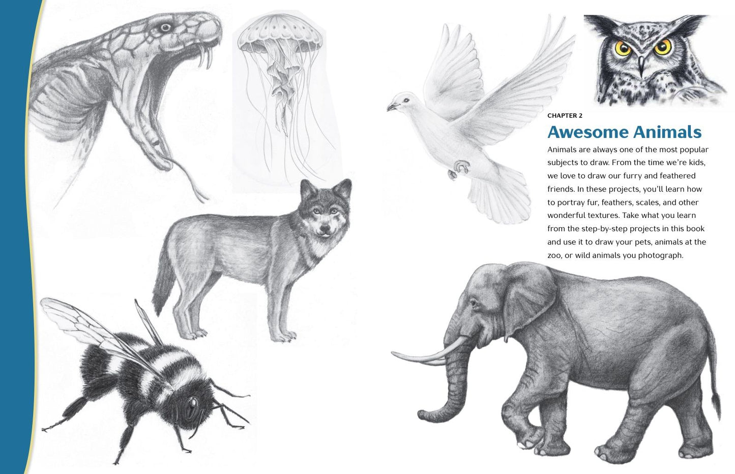 The 15-Minute Artist: The Quick and Easy Way to Draw Almost Anything