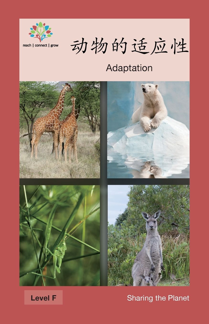 ????,?"?: Adaptation