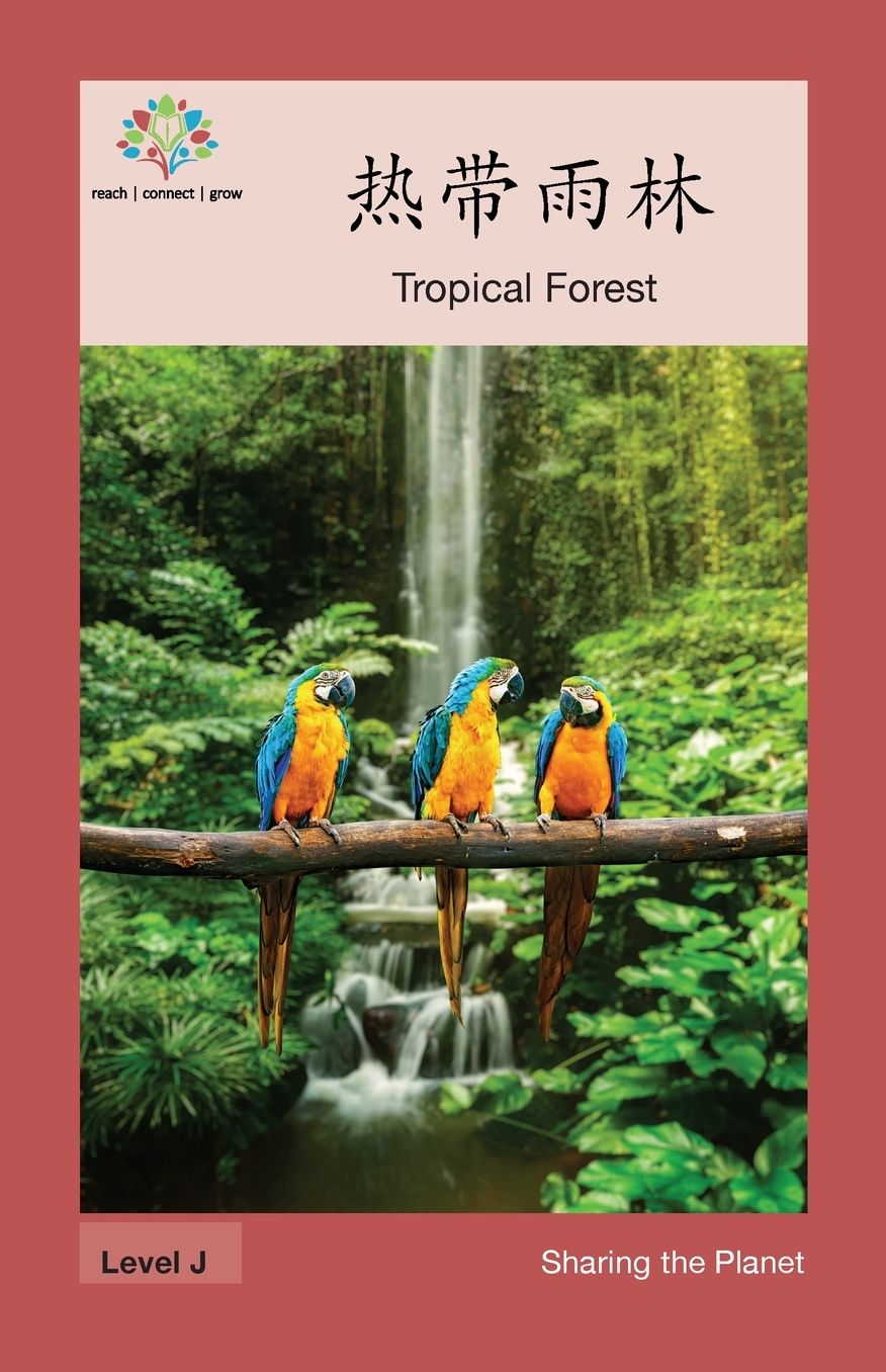 ????--: Tropical Forest