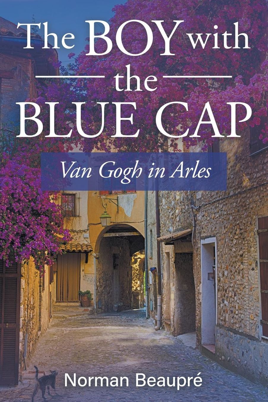 The Boy with the Blue Cap: Van Gogh in Arles