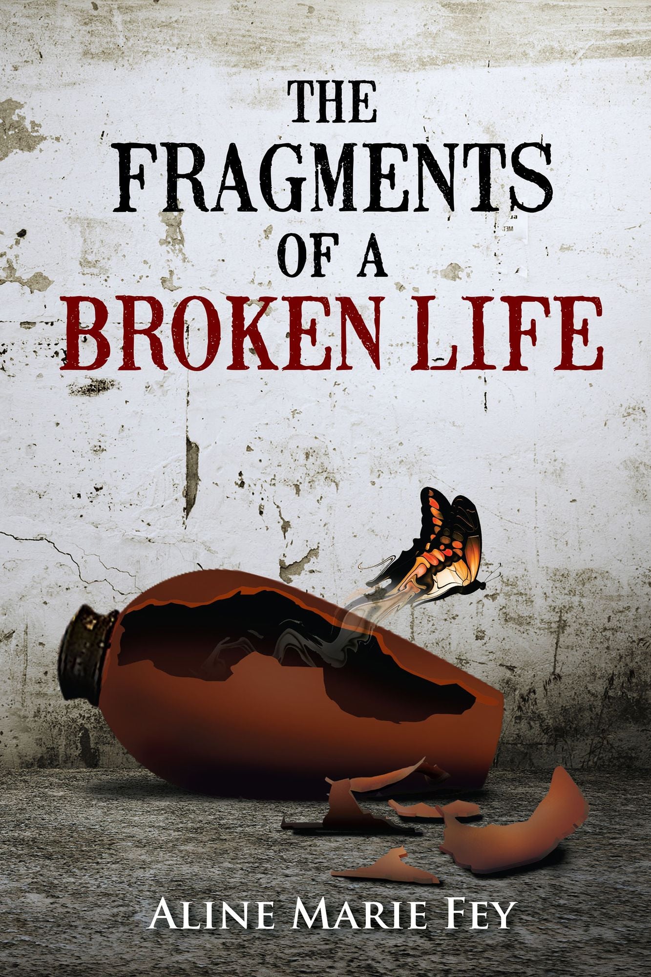 The Fragments of a Broken Life
