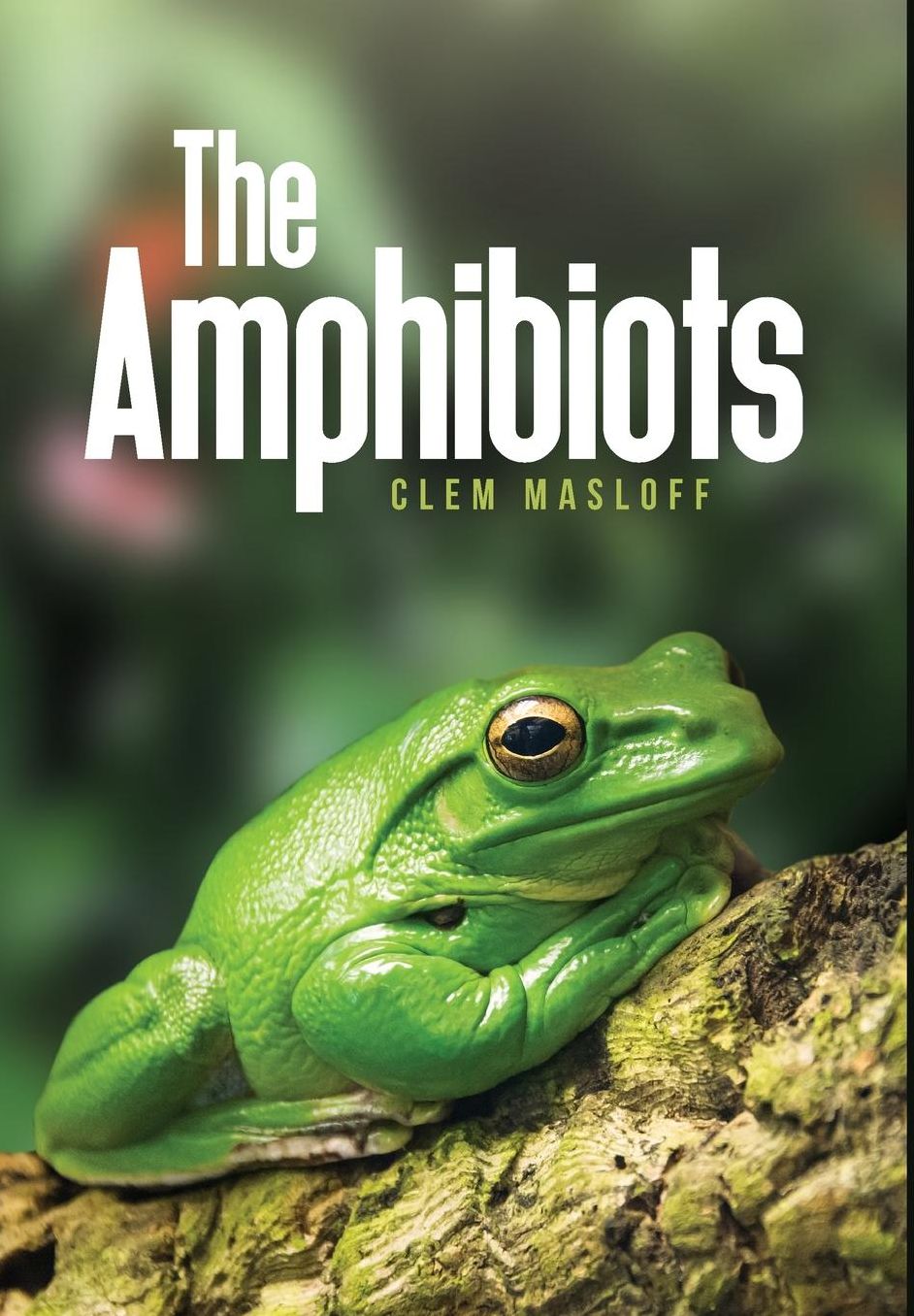 The Amphibiots