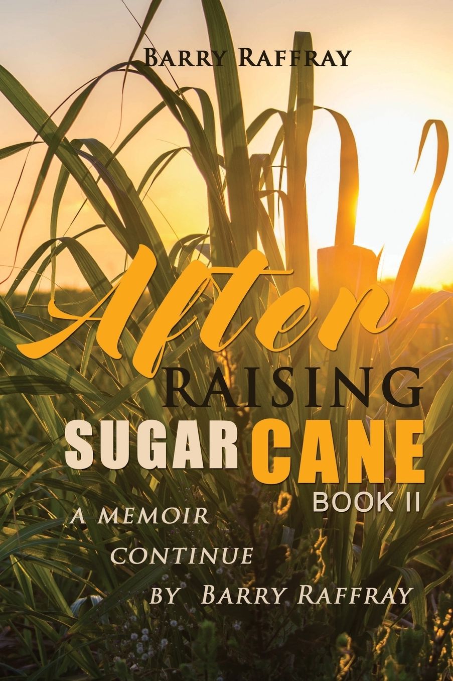AFTER RAISING SUGAR CANE BOOK II